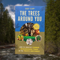 The Trees Around You by Casey Clapp