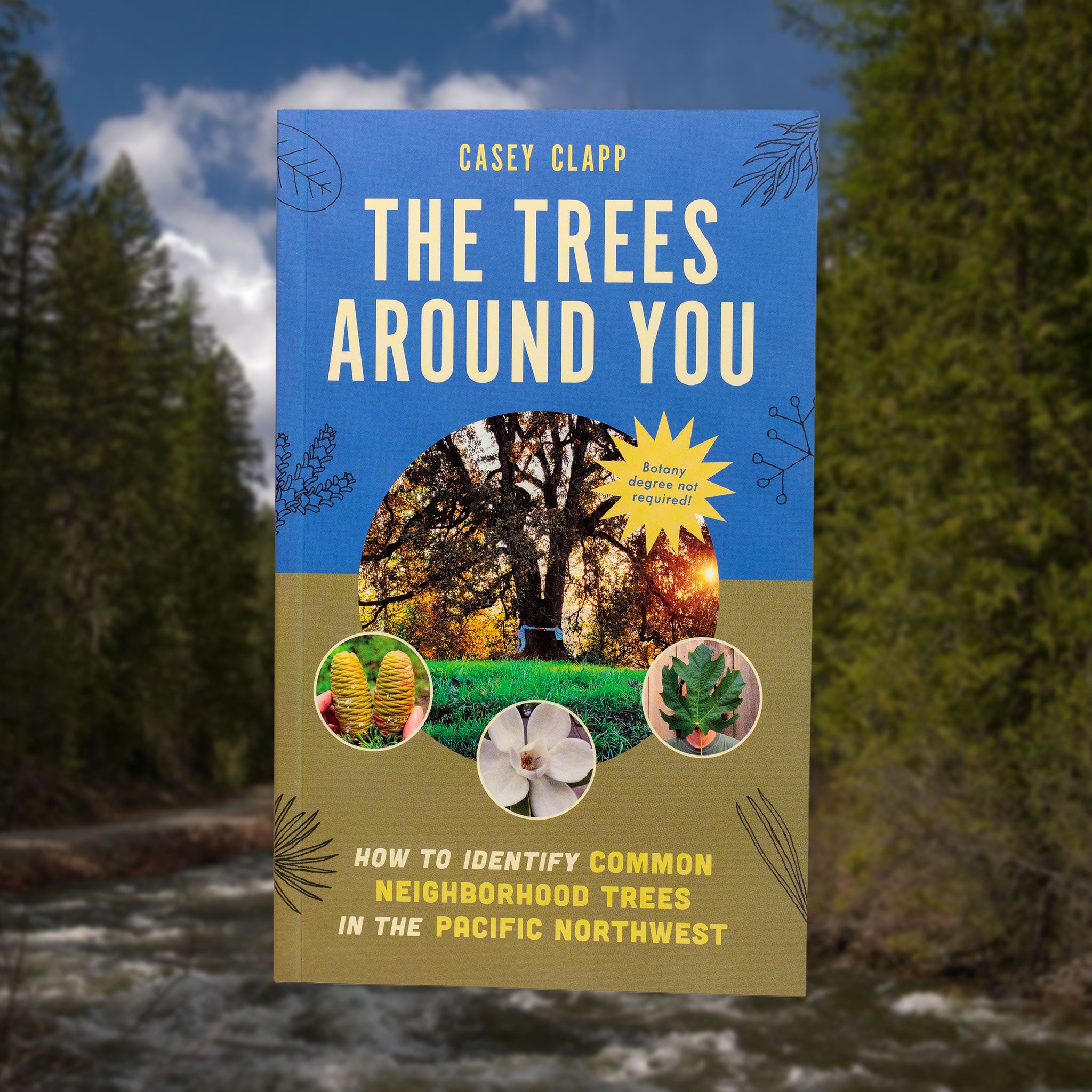 The Trees Around You by Casey Clapp