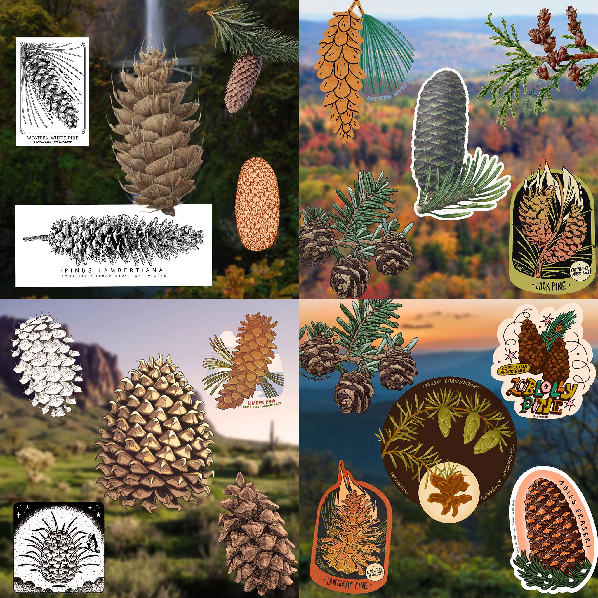 Sticker Packs